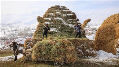Li deverên gundewar yên ku ji berf û seqem li wan bi bandor e jiyan dijwar e