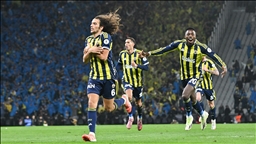 Turkcell Süper Kupa, Fenerbahçe'nin