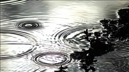 Yağmur suyu hasadıyla kuraklığa dirençli şehirler oluşturulabilir