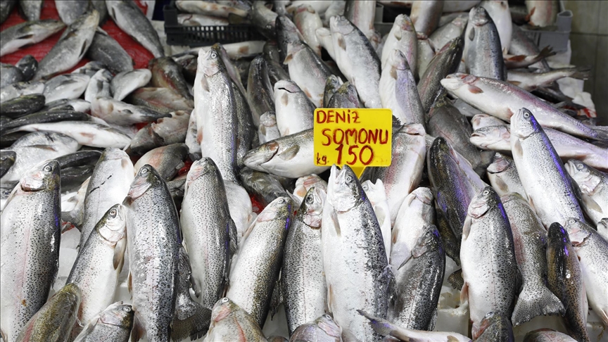 تركيا.. صادرات سمك السلمون تسجل 520 مليون دولار في 2025