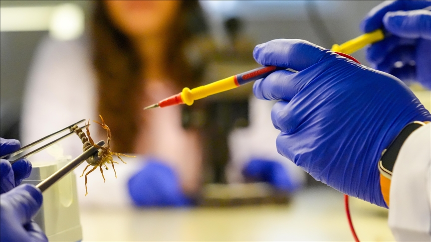 Universiteti Dicle përdor akrepa në studime akademike
