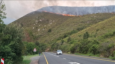 تضرر أكثر من 100 ألف هكتار جراء حرائق غابات في جنوب إفريقيا