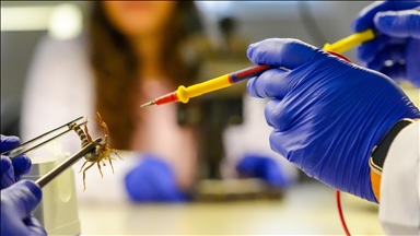 Universiteti Dicle përdor akrepa në studime akademike