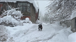 Li Bîngol, Elezîz û Şirnexê rêya 96 cih û waran girtî ye