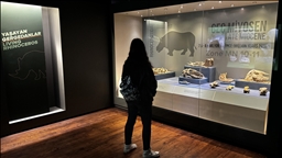 Çankırı Müzesi'ndeki milyon yıllık fosiller geçen yıl 39 bine yakın ziyaretçi çekti