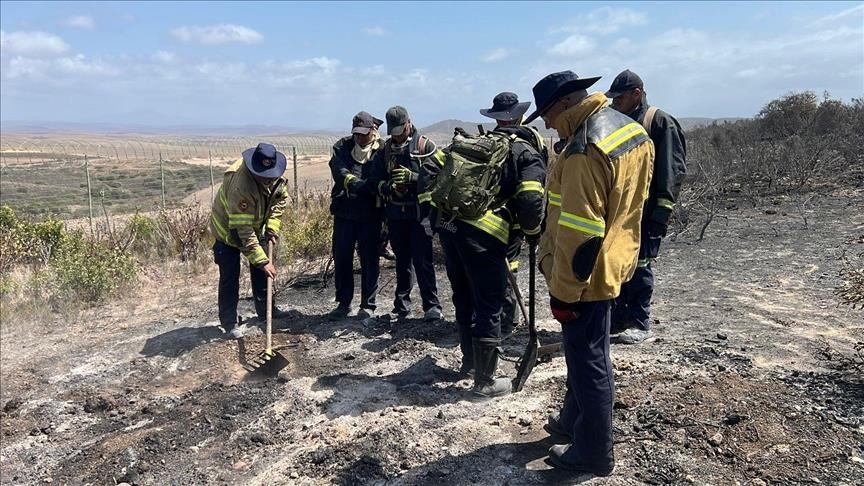 Mbi 100 mijë hektarë tokë e prekur nga zjarret në Afrikën e Jugut