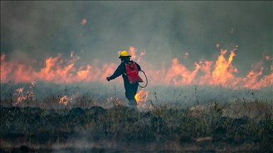 Arjantin'in Patagonya bölgesindeki orman yangınlarında yaklaşık 12 bin hektarlık alan kül oldu