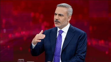 Turkish foreign minister joins online talks on Gaza peace plan’s 2nd phase