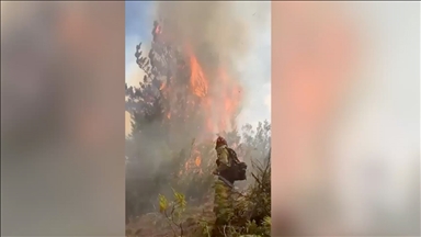 Arjantin'in Patagonya bölgesindeki orman yangınlarında yaklaşık 12 bin hektarlık alan kül oldu