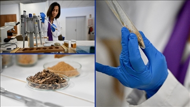 Çocuklarda propolis tüketiminin büyüme ve gelişime etkileri araştırıldı