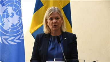 Sweden’s ex-premier says troops could be sent to Greenland to support Denmark