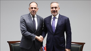 Главы МИД Турции и Греции обсудили двусторонние отношения и региональные события