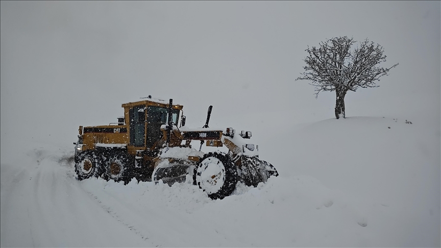 Li Wan, Hekarî, Mûş û Bidlîsê rêyên 539 cî û waran hatin girtin