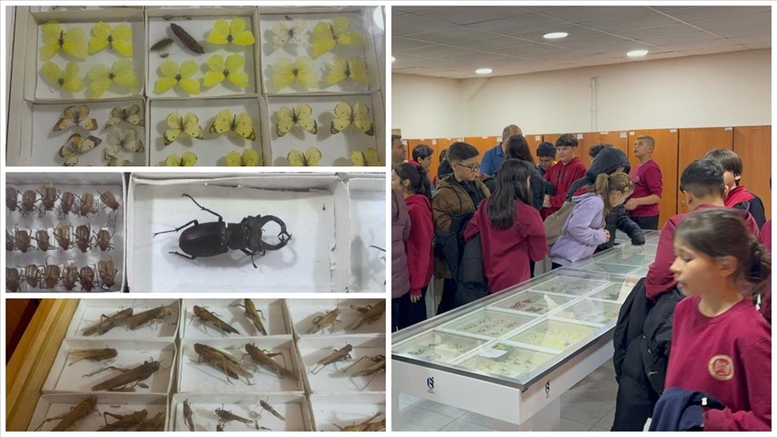 Isparta'daki Böcek Müzesi bilime ve doğa farkındalığına katkı sunuyor