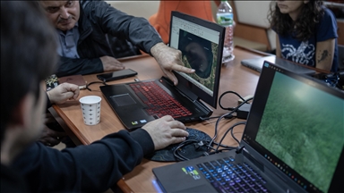 Istanbul University launches AI-powered project to protect endangered seagrass meadows