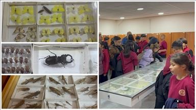 Isparta'daki Böcek Müzesi bilime ve doğa farkındalığına katkı sunuyor