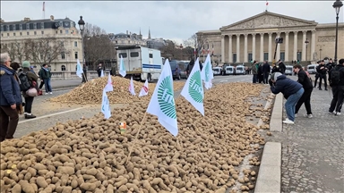 Francuski poljoprivrednici istovarili tone krompira ispred parlamenta