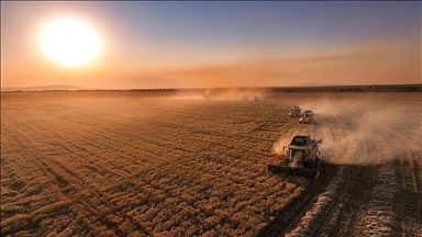 IPARD-III desteklerine Türkiye'nin dört bir yanından yoğun ilgi