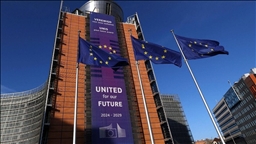 ЕС вновь подтвердил поддержку Гренландии