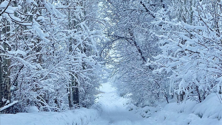 Yurtta kar yağışı ve soğuk hava etkili oluyor