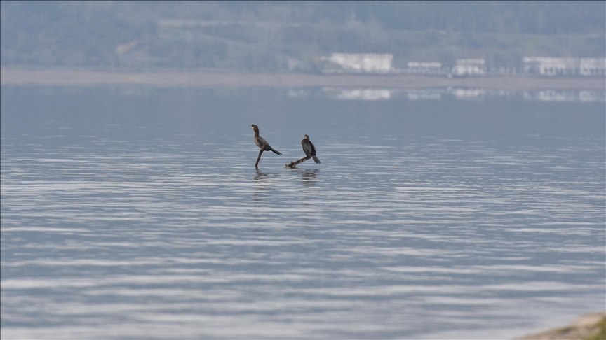 Sapanca Gölü'nde su seviyesi son yağışlarla 8 santimetre arttı