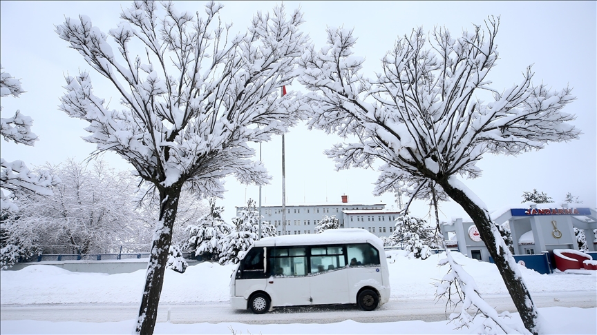 Li Wan, Hekarî, Bidlîs û Mûşê rêyên 1012 cî û waran girtî ne