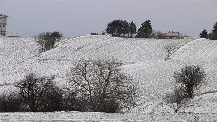 Trakya'da kar yağışı tarım arazilerine can suyu oldu