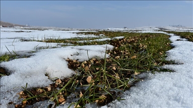 Güneydoğu'da etkili olan kar yağışı çiftçiyi sevindirdi