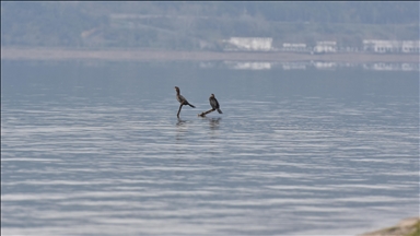 Sapanca Gölü'nde su seviyesi son yağışlarla 8 santimetre arttı