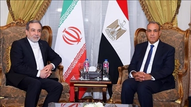وزيرا خارجية إيران ومصر يبحثان التطورات الإقليمية والدولية