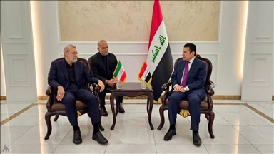 الأعرجي يبحث مع لاريجاني منع تسلل "مجموعات إرهابية" بين العراق وإيران 