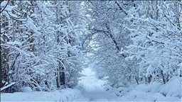 Yurtta kar yağışı ve soğuk hava etkili oluyor