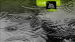 Yağmur suyu hasadı iklim krizinde yeni çare mi?