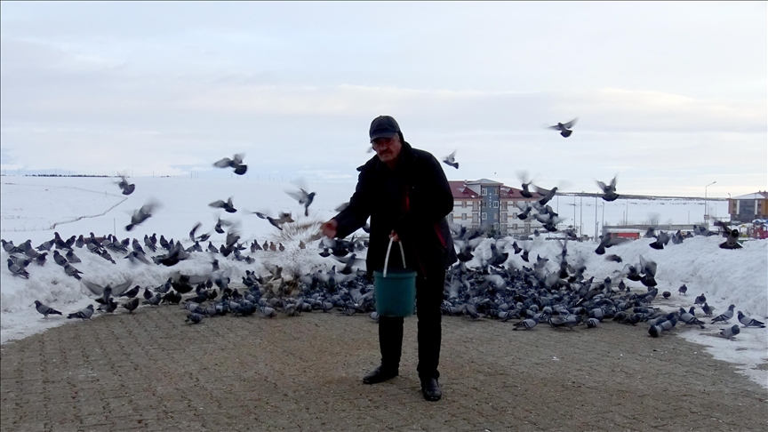 Ji bo ku ji çivîkên beyanî ra qût dayne her sibeh berfê diavêje