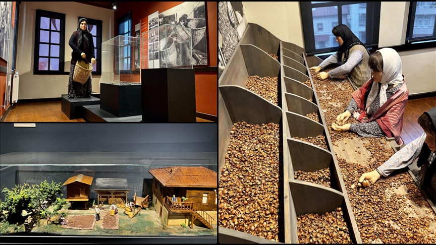 Fındığın bahçeden sofraya yolculuğunu anlatan müze yaklaşık 60 bin ziyaretçiyi ağırladı