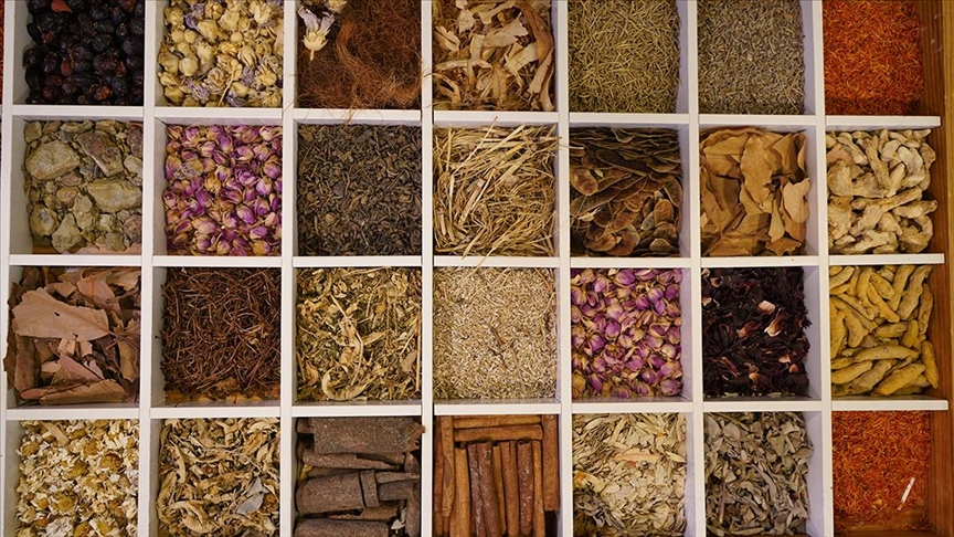 Güneydoğu Anadolu'nun hububat, bakliyat ve yağlı tohumlar ihracatı 2025'te yüzde 3,6 arttı