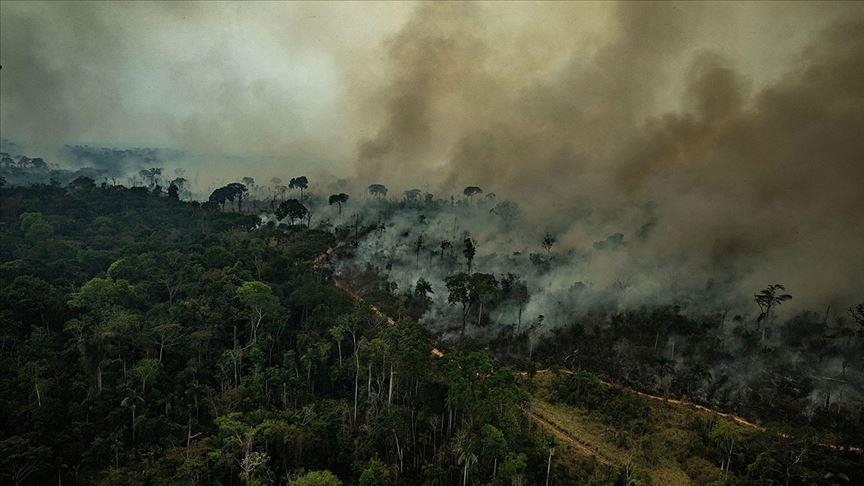 Amazon wildfire smoke may boost rainforest growth, study finds
