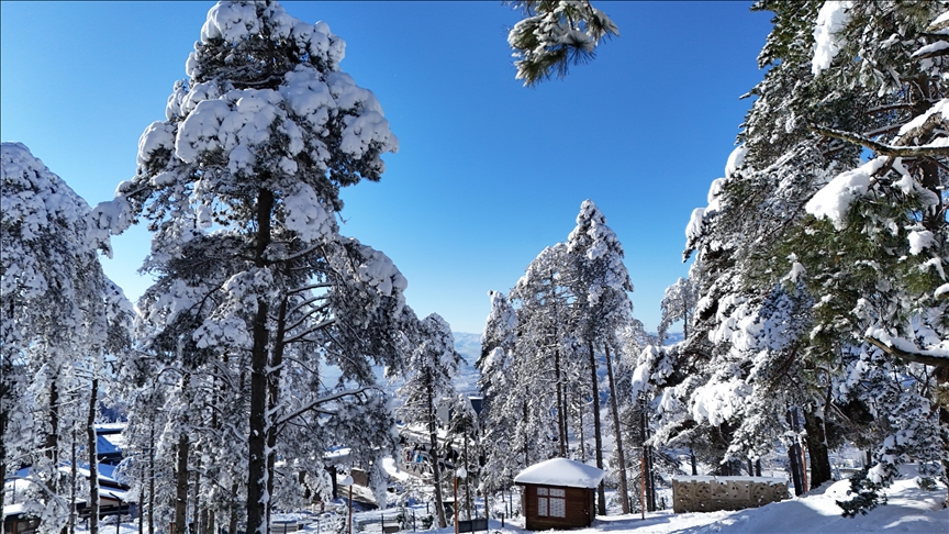Ordu'nun bazı ilçelerinde eğitime yarın ara verildi