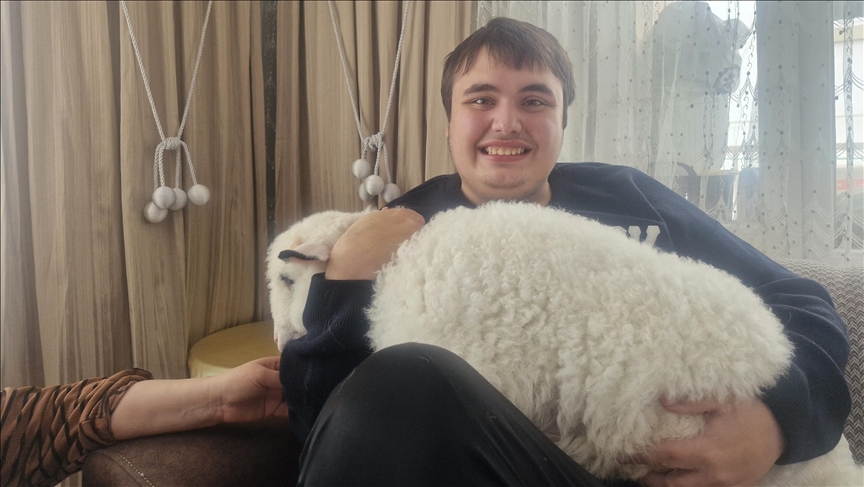 По желба на нивниот син со аутизам, семејство од Турција чува јагне во домот како бебе