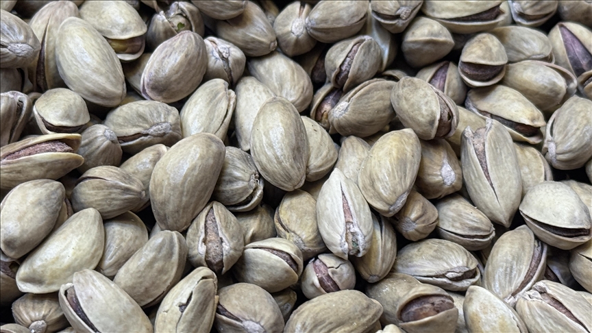 Türkiye'den geçen yıl 178 milyon dolarlık Antep fıstığı ihraç edildi