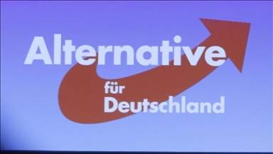 German parliament bars AfD party staffers over security concerns