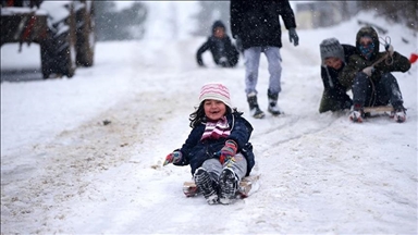 Li Bidlîs, Tuncelî û Meletiyê ji ber berfê dibistan hatin tetîlkirin