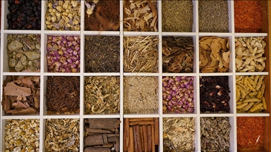 Güneydoğu Anadolu'nun hububat, bakliyat ve yağlı tohumlar ihracatı 2025'te yüzde 3,6 arttı