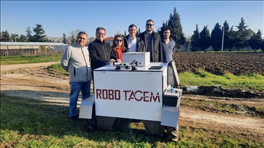 Üzüm bağlarında verim ve kaliteyi artıracak otonom robot geliştirildi