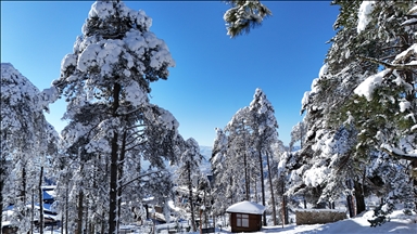 Ordu'nun bazı ilçelerinde eğitime yarın ara verildi