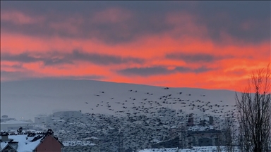Ardahan'da gün batımı kızıllığı ve kuşların uçuşu görüntülendi