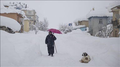 Kışın çetin geçtiği Tunceli Ovacık'ta kar yağışı yöre sakinlerini sevindirdi