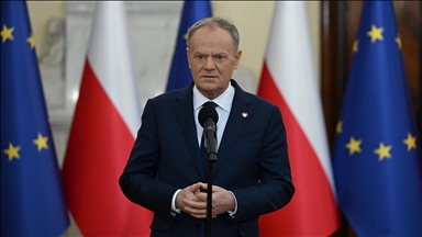 Poland will not send troops to Greenland, says country's premier