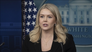 White House says meeting with Danish officials over Greenland was 'productive'