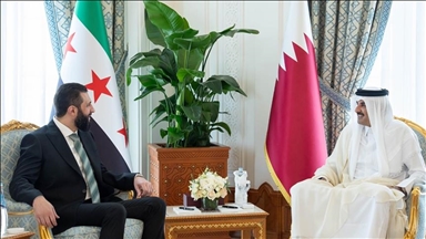 الشرع والأمير تميم يبحثان التطورات الإقليمية والتنسيق بين البلدين